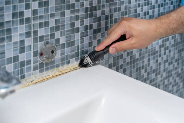 Trusted Point Mackenzie, AK Mold Removal Experts